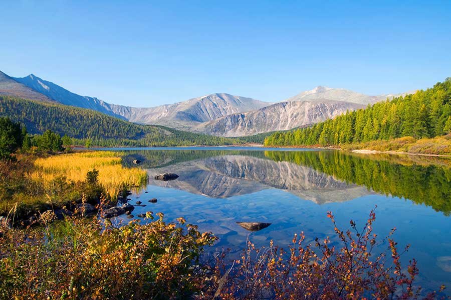 भारत का वन्यसंरक्षण में क्या स्थिति है?