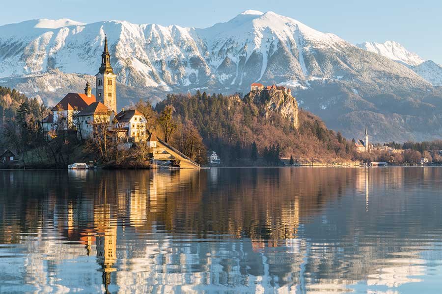 यदि पेड़ न हों तो?